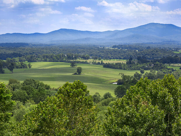 Albemarle County Virginia